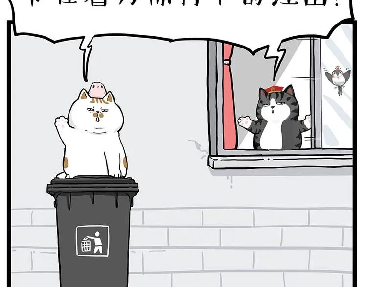 第277话 猫斗猫 第4页