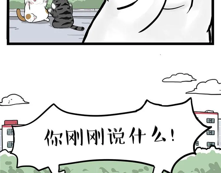 第277话 猫斗猫 第9页