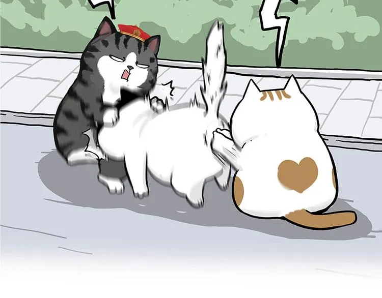 第277话 猫斗猫 第10页