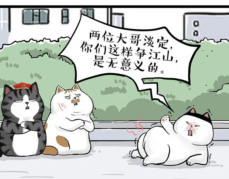 第277话 猫斗猫 第11页