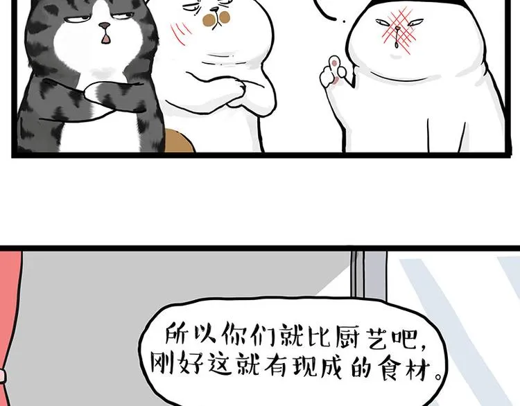 第277话 猫斗猫 第13页