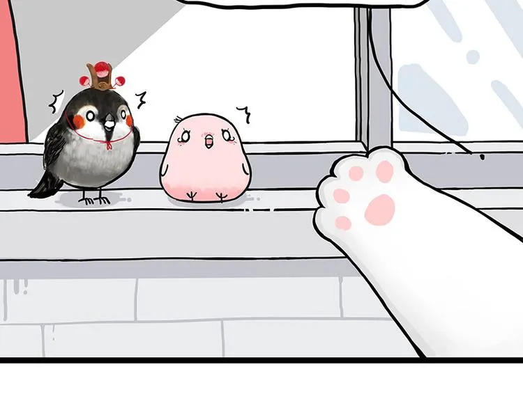 第277话 猫斗猫 第14页