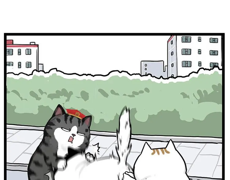 第277话 猫斗猫 第15页
