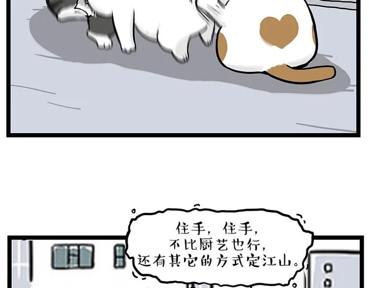第277话 猫斗猫 第16页