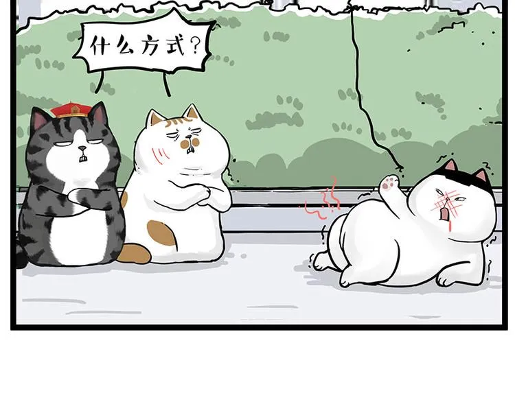 第277话 猫斗猫 第17页