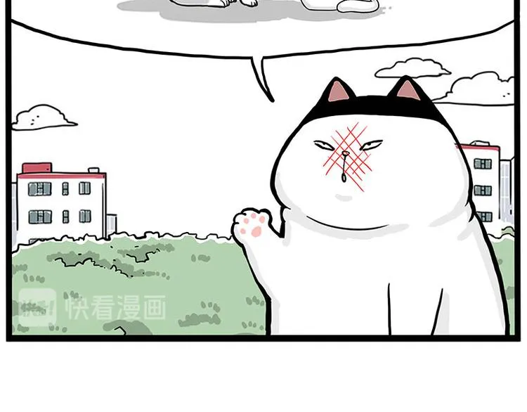 第277话 猫斗猫 第19页
