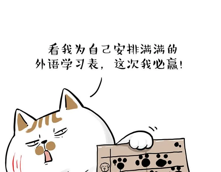 第277话 猫斗猫 第22页