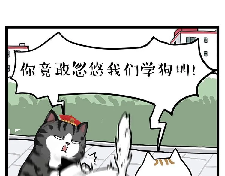 第277话 猫斗猫 第29页