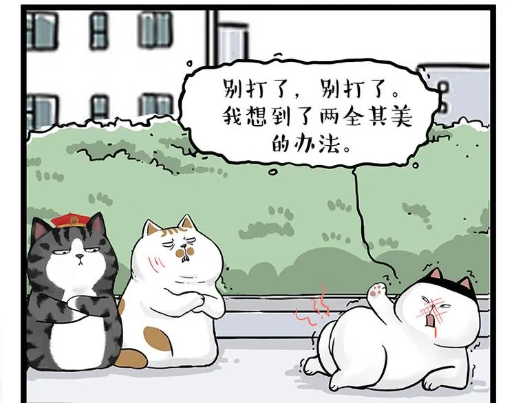 第277话 猫斗猫 第31页