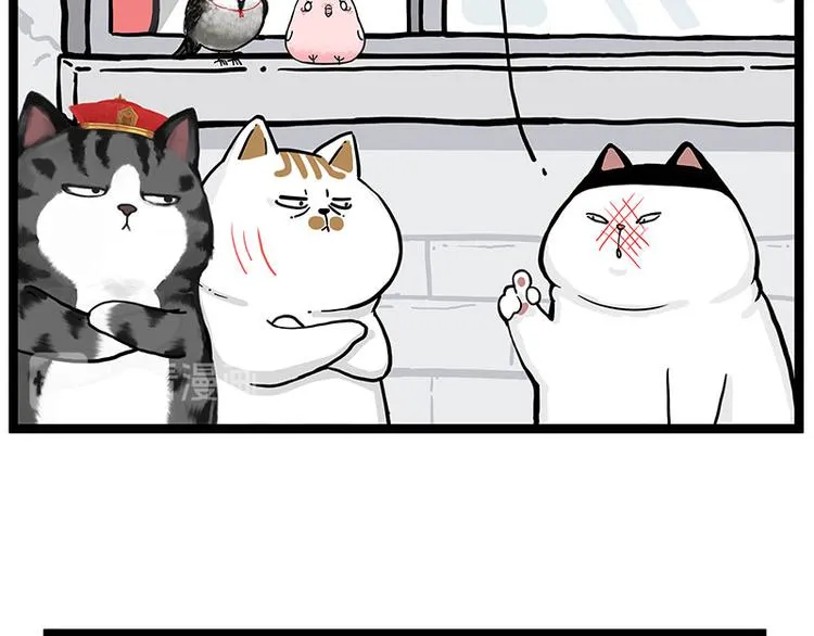 第277话 猫斗猫 第33页