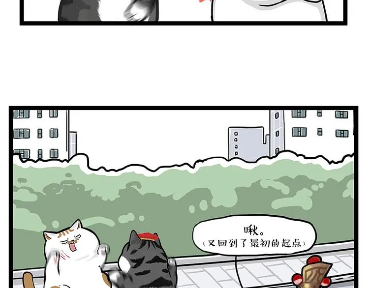 第277话 猫斗猫 第35页