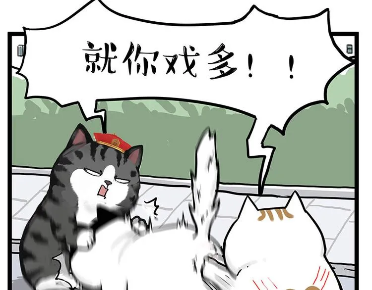 第277话 猫斗猫 第40页