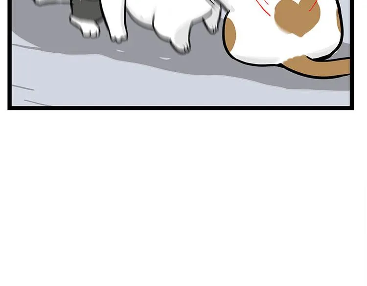 第277话 猫斗猫 第41页