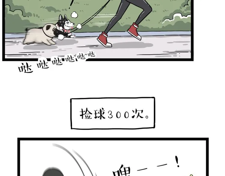 第279话 萌兽→猛兽 第40页