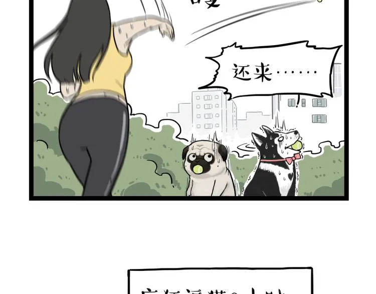 第279话 萌兽→猛兽 第41页