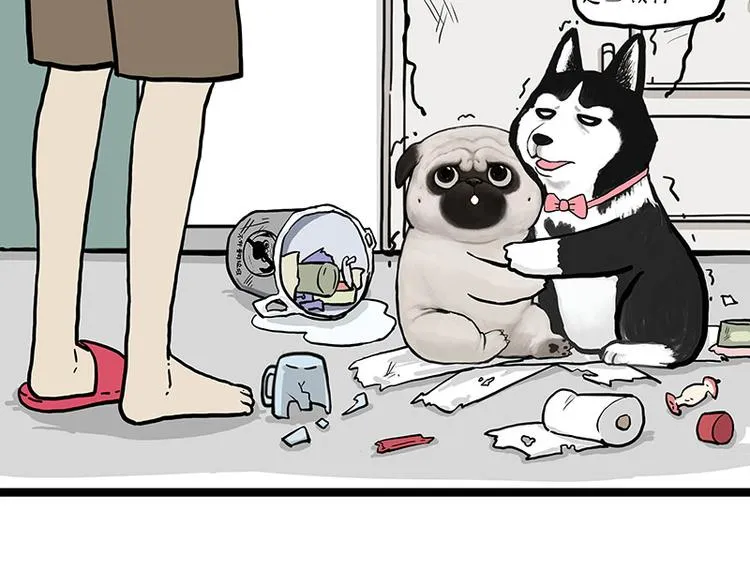 第280话 狗上学 第2页