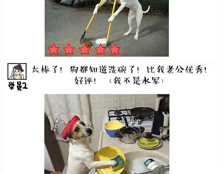 第280话 狗上学 第12页