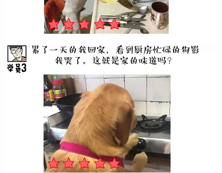 第280话 狗上学 第13页