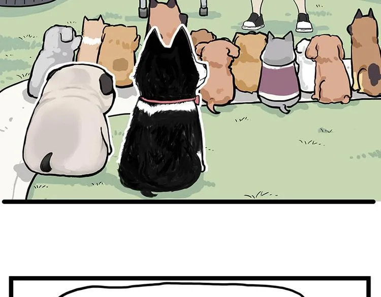 第280话 狗上学 第34页