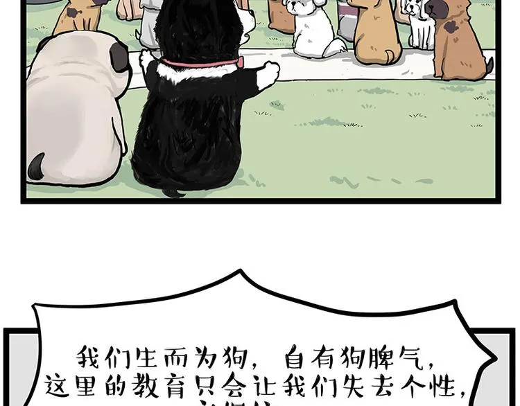第280话 狗上学 第55页