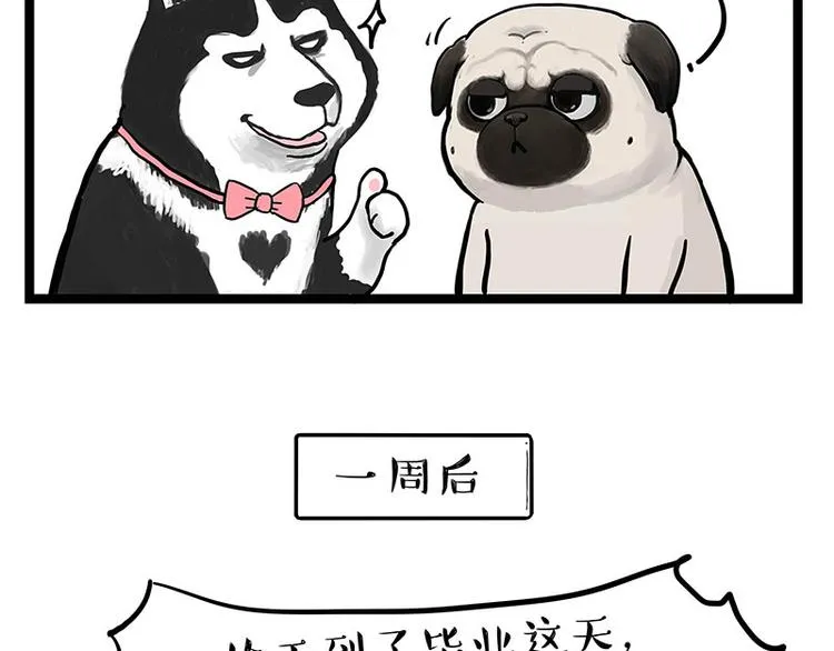 第280话 狗上学 第61页