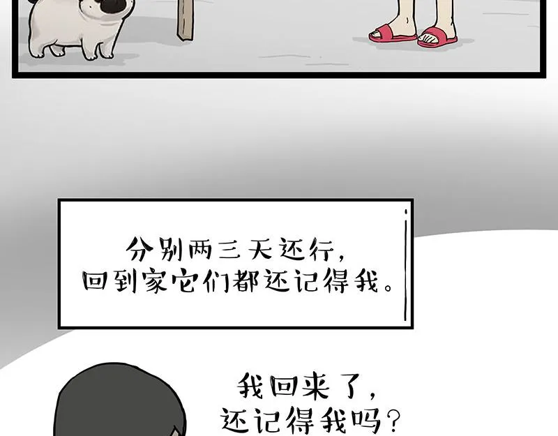 第281话 飞得更高，社死更惨 第4页