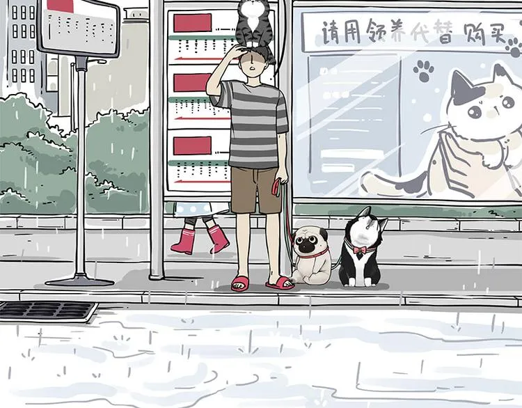 第282话 型男（猫） 第2页
