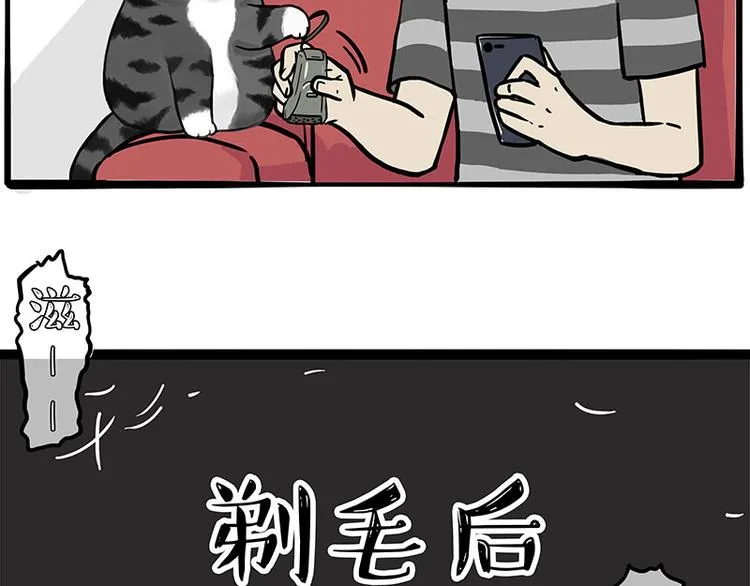 第282话 型男（猫） 第37页