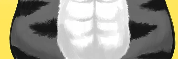 第282话 型男（猫） 第43页