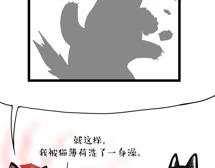 第284话 美喵竟是我自己 第5页