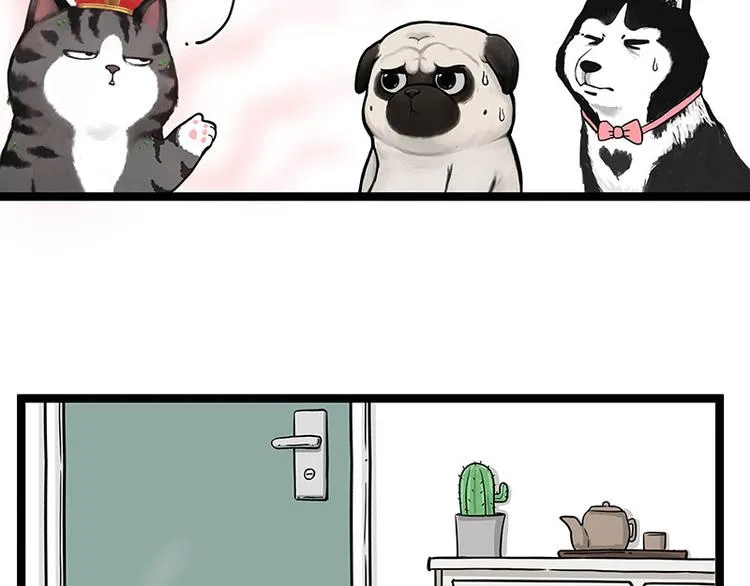第284话 美喵竟是我自己 第6页