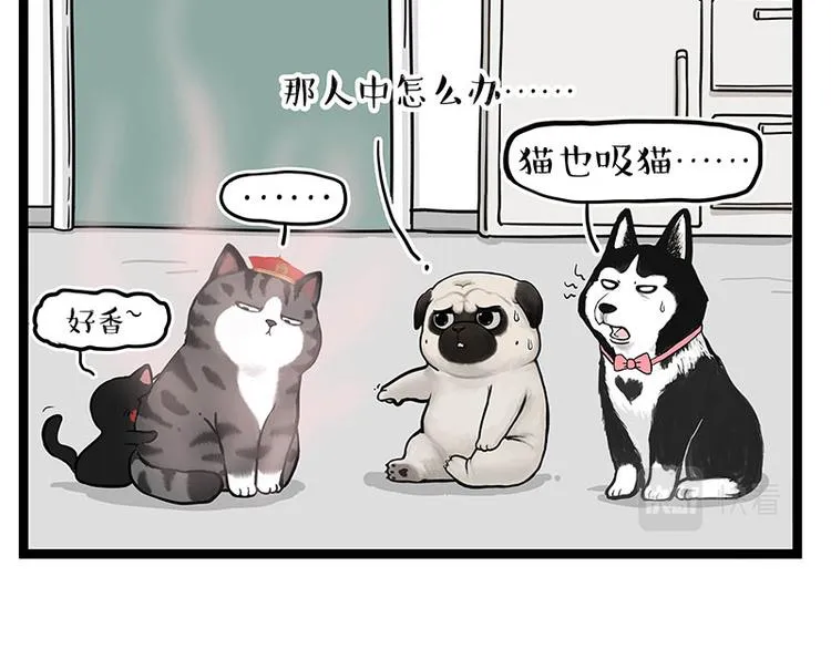 第284话 美喵竟是我自己 第7页