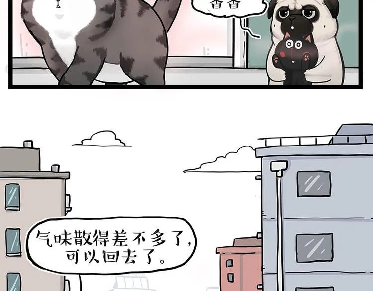 第284话 美喵竟是我自己 第9页