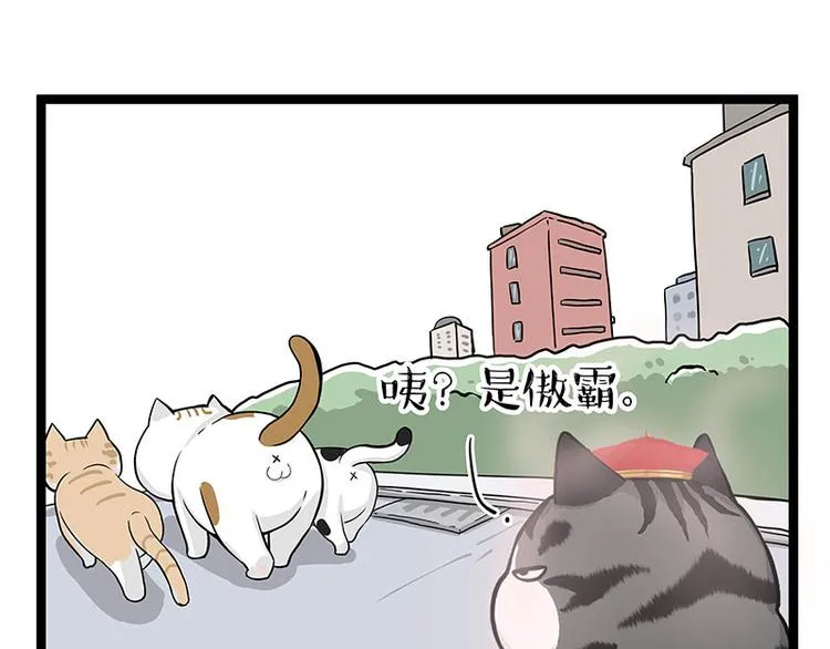 第284话 美喵竟是我自己 第11页