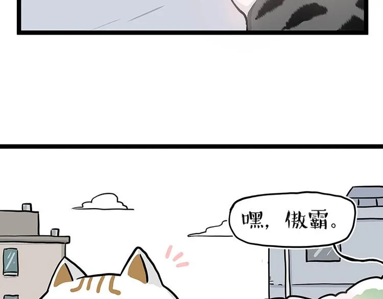 第284话 美喵竟是我自己 第12页