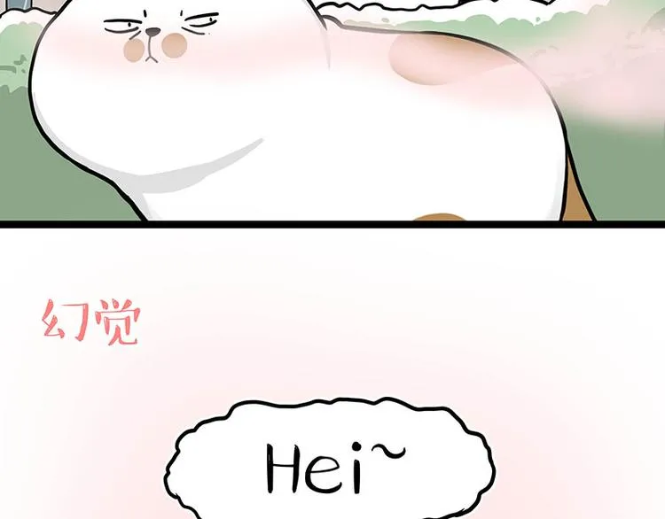 第284话 美喵竟是我自己 第13页