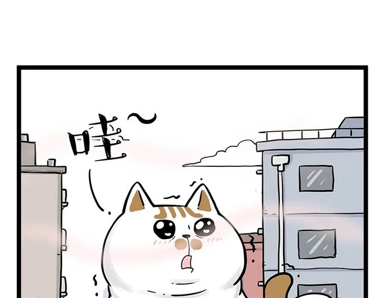 第284话 美喵竟是我自己 第15页