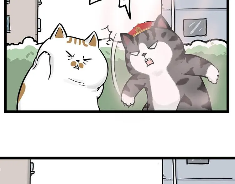 第284话 美喵竟是我自己 第17页