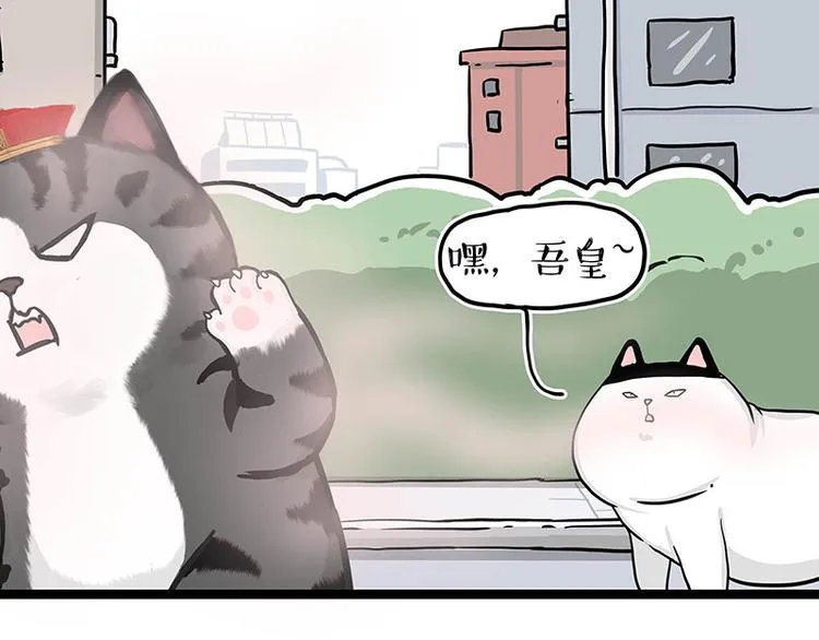 第284话 美喵竟是我自己 第18页