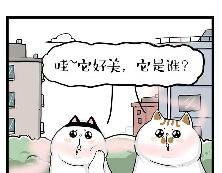 第284话 美喵竟是我自己 第21页