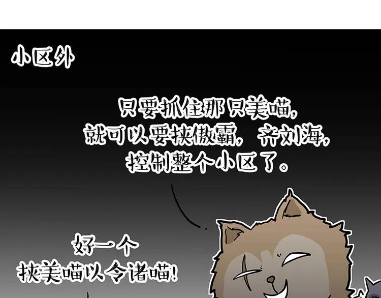 第284话 美喵竟是我自己 第30页