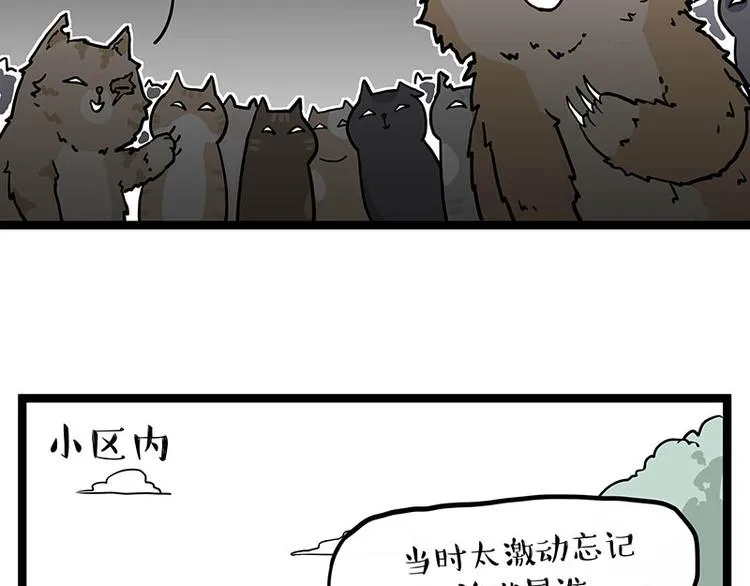 第284话 美喵竟是我自己 第31页