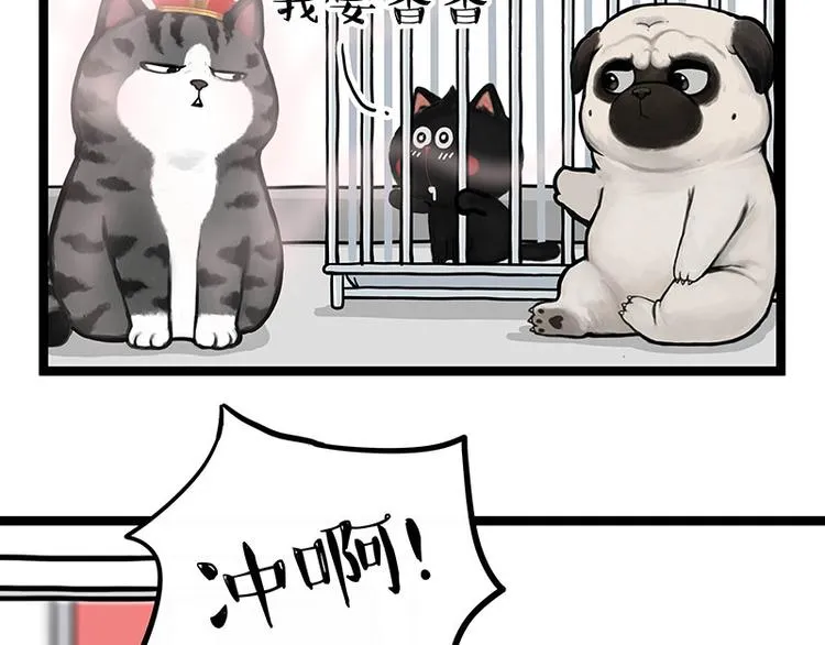 第284话 美喵竟是我自己 第34页