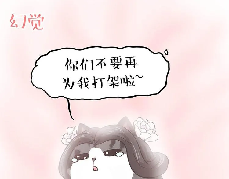第284话 美喵竟是我自己 第43页