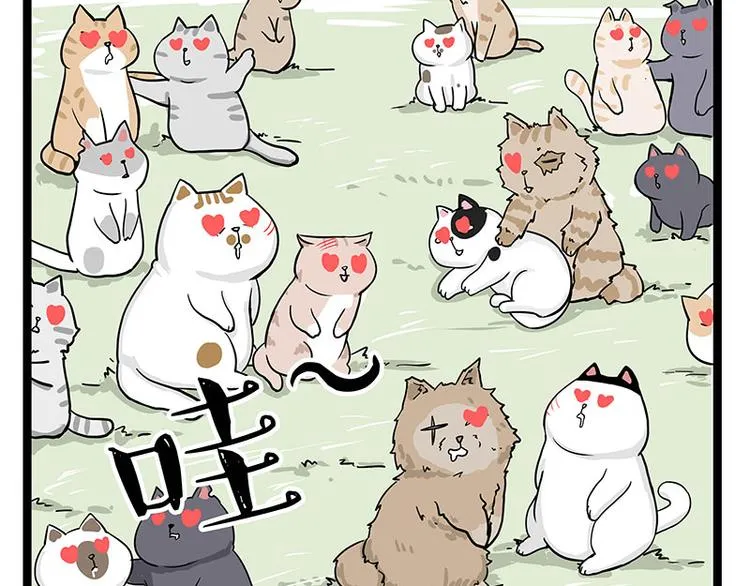 第284话 美喵竟是我自己 第45页