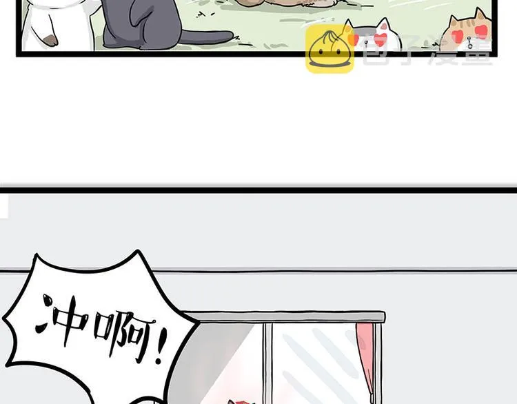 第284话 美喵竟是我自己 第46页
