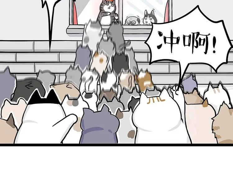 第284话 美喵竟是我自己 第47页