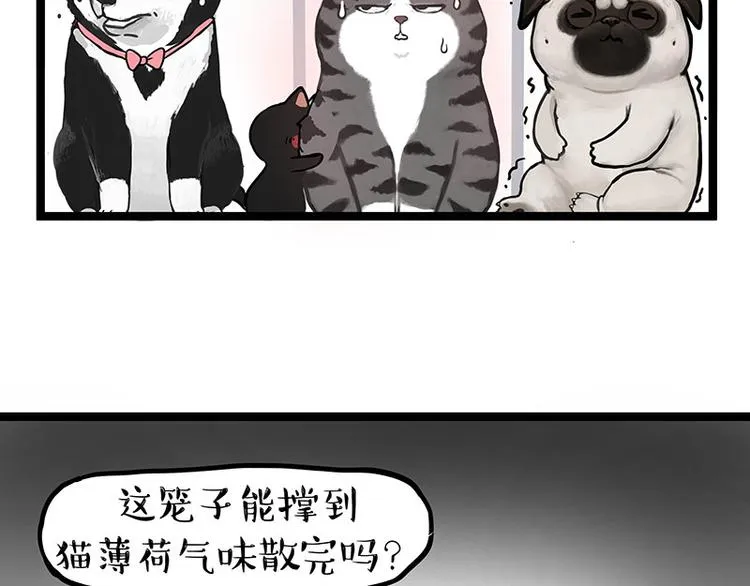 第284话 美喵竟是我自己 第49页