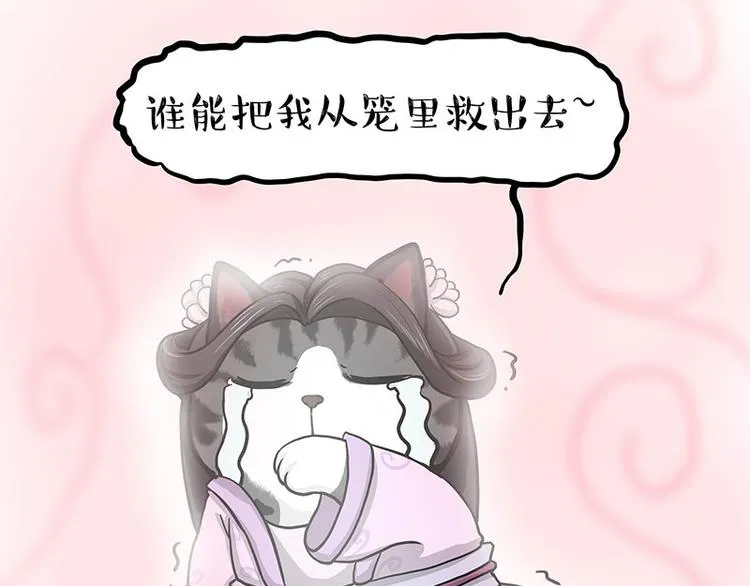 第284话 美喵竟是我自己 第51页