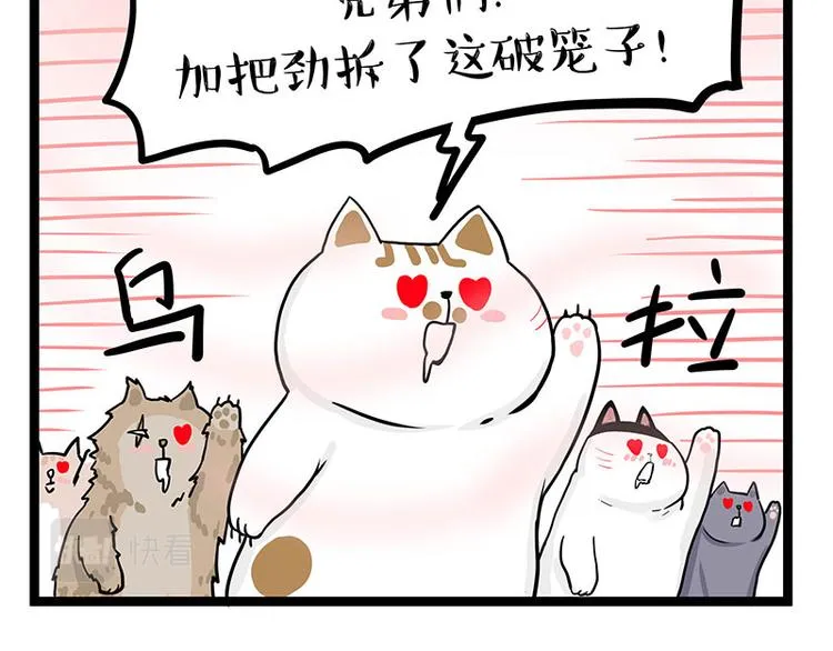 第284话 美喵竟是我自己 第53页